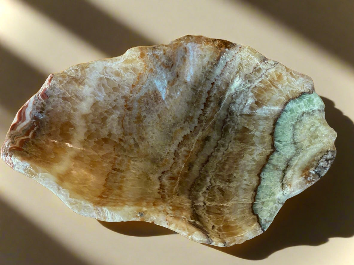 SERPENTINE BOWL